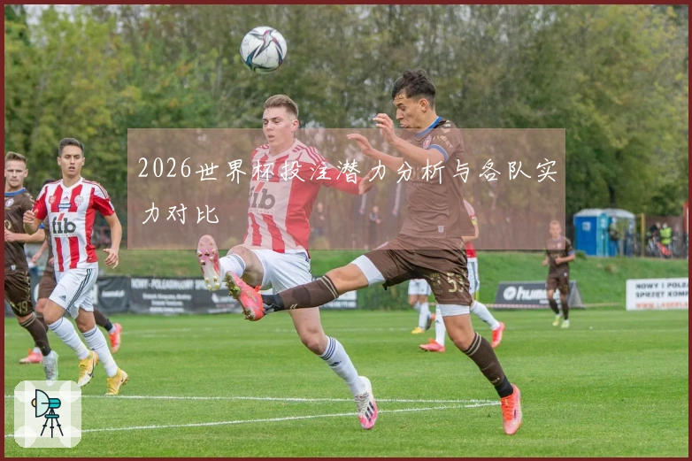2026世界杯投注潜力分析与各队实力对比