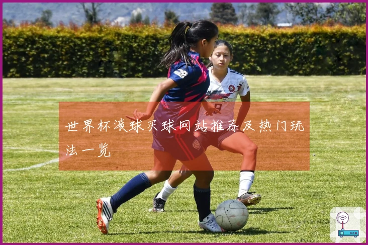 世界杯滚球买球网站推荐及热门玩法一览