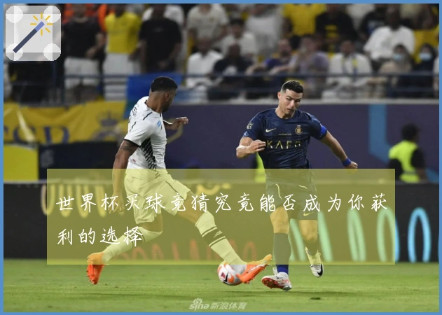 世界杯买球竞猜究竟能否成为你获利的选择