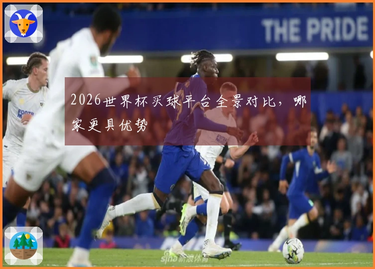 2026世界杯买球平台全景对比，哪家更具优势