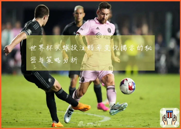 世界杯买球投注赔率变化揭示的秘密与策略分析