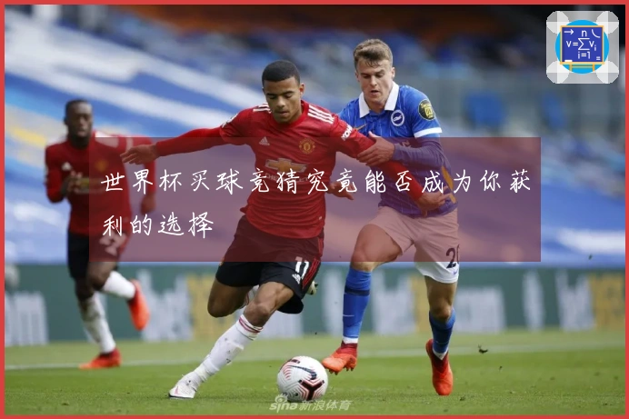 世界杯买球竞猜究竟能否成为你获利的选择