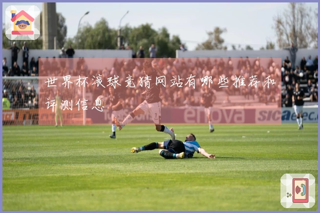 世界杯滚球竞猜网站有哪些推荐和评测信息