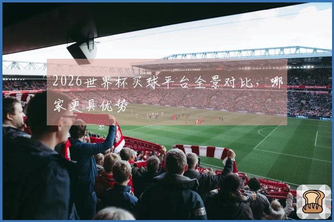 2026世界杯买球平台全景对比，哪家更具优势